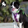 Harnais pour chien Truelove Country + Special Edition - TLH5653