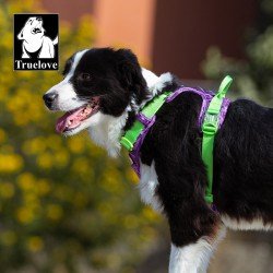 Harnais pour chien Truelove Country + Special Edition - TLH5653