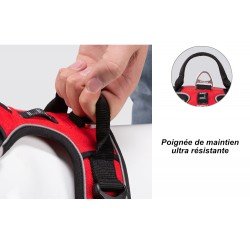 Harnais pour chien Truelove Country + Special Edition - TLH5653