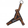 Harnais pour chien Truelove Alaska + - TLH58121