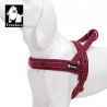 Harnais pour chien Truelove Alaska + - TLH58121
