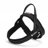 Harnais pour chien Truelove Alaska - TLH5811