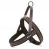 Harnais pour chien Truelove Alaska - TLH5811