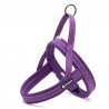 Harnais pour chien Truelove Alaska - TLH5811