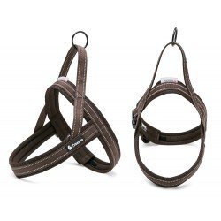 Harnais pour chien Truelove Alaska - TLH5811