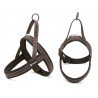 Harnais pour chien Truelove Alaska - TLH5811