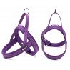 Harnais pour chien Truelove Alaska - TLH5811