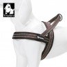 Harnais pour chien Truelove Alaska - TLH5811