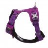 Harnais pour chien Truelove Colorado - TLH6281