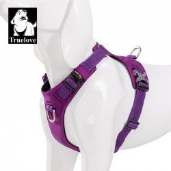 Harnais pour chien Truelove Colorado - TLH6281