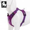 Harnais pour chien Truelove Colorado - TLH6281