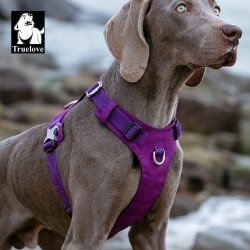 Harnais pour chien Truelove Colorado - TLH6281
