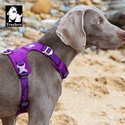 Harnais pour chien Truelove Colorado - TLH6281