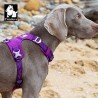 Harnais pour chien Truelove Colorado - TLH6281
