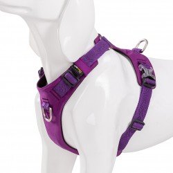 Harnais pour chien Truelove Colorado - TLH6281