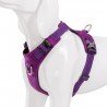 Harnais pour chien Truelove Colorado - TLH6281