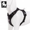Harnais pour chien Truelove Colorado - TLH6281