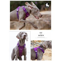 Harnais pour chien Truelove Colorado - TLH6281
