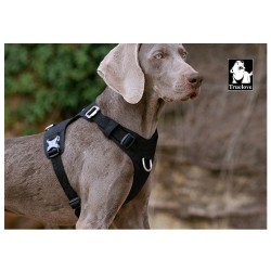 Harnais pour chien Truelove Colorado - TLH6281
