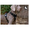 Harnais pour chien Truelove Colorado - TLH6281