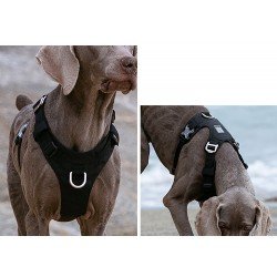 Harnais pour chien Truelove Colorado - TLH6281