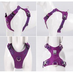 Harnais pour chien Truelove Colorado - TLH6281
