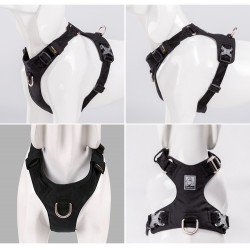 Harnais pour chien Truelove Colorado - TLH6281