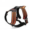 Harnais pour chien Truelove Forest - TLH5551