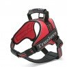 Harnais pour chien Truelove City + - TLH5753