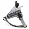Harnais pour chien Truelove City + - TLH5753
