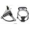 Harnais pour chien Truelove City + - TLH5753