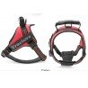 Harnais pour chien Truelove City + - TLH5753