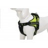 Harnais pour chien Truelove City + - TLH5753