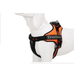 Harnais pour chien Truelove City + - TLH5753