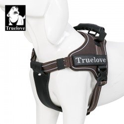 Harnais pour chien Truelove City + - TLH5753
